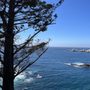 Photo of California Sea Otter Game Refuge