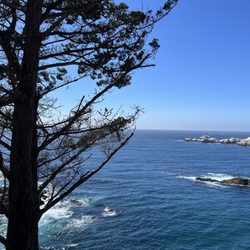 California Sea Otter Game Refuge - July 30th, 2023