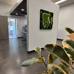 Molldrem Family Dentistry