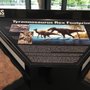 Photo of U.S. Geological Survey