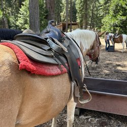 Camp Richardson's Corral