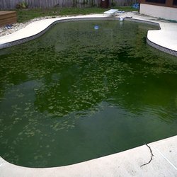 Green to Cleans $125. 00 to $300.00 one time with monthly service