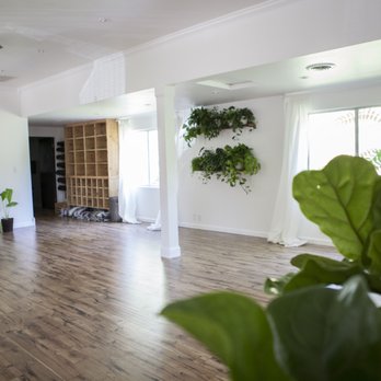 Amador Yoga - Plants add a nice touch to the room! - Yoga Near Me - Jackson, California Amador Yoga - Plants add a nice touch to the room! - Yoga Near Me - Jackson, California