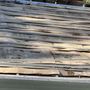 Photo of Weaver Roofing