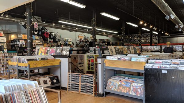 Reckless Records by null