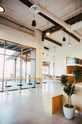 Smoking Tiger Bread Factory by null