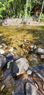 Greenough Park by null