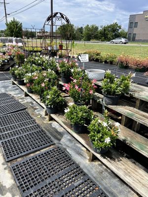 North Richland Hills Farmers Market by null