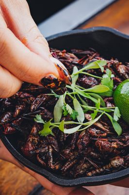 San Agus Cocina Urbana & Cocktails by null