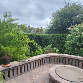 One Day Tree service - Tree Services Near Me - Los Angeles, California One Day Tree service - Tree Services Near Me - Los Angeles, California