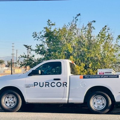 PURCOR Pest Solutions on Yelp