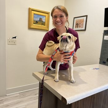 University Pet Clinic - The vet examined Shryke today. All very good - Veterinarians Near Me - Tucson, Arizona University Pet Clinic - The vet examined Shryke today. All very good - Veterinarians Near Me - Tucson, Arizona