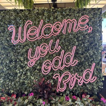 Rare Bird - Wine Bars Near Me - Denver, Colorado