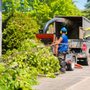 Photo of Pacifico Tree Service