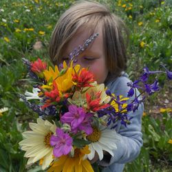 Great Outdoors RV Rentals