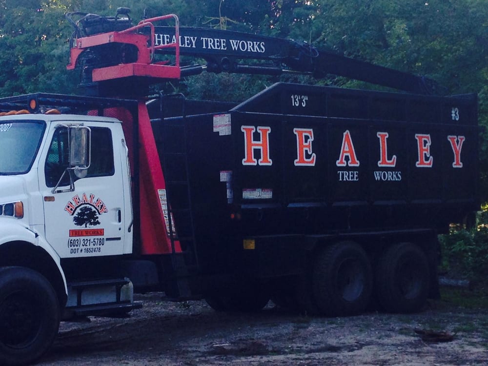 Healey Tree Works - tree service in Amherst, NH