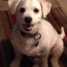 Monkey, a happy boy after some spa time with Alexis!