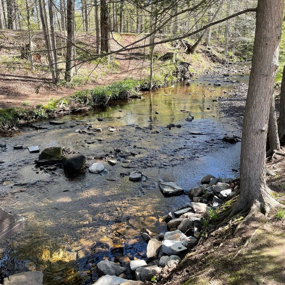 Wadsworth Falls State Park - River - Hiking Near Me - Middletown, Connecticut