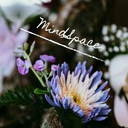 MindSpace Meditation Center
