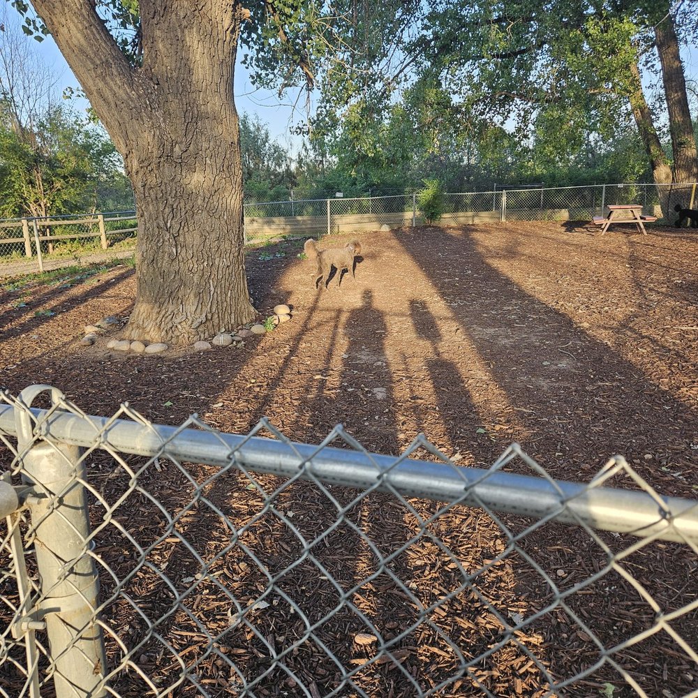 Koa Lakeside - Dog park - RV Parks Near Me - Fort Collins, Colorado Koa Lakeside - Dog park - RV Parks Near Me - Fort Collins, Colorado