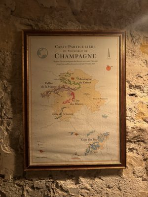 FrenchParadox - Canard & Champagne by null