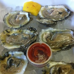 Oysters