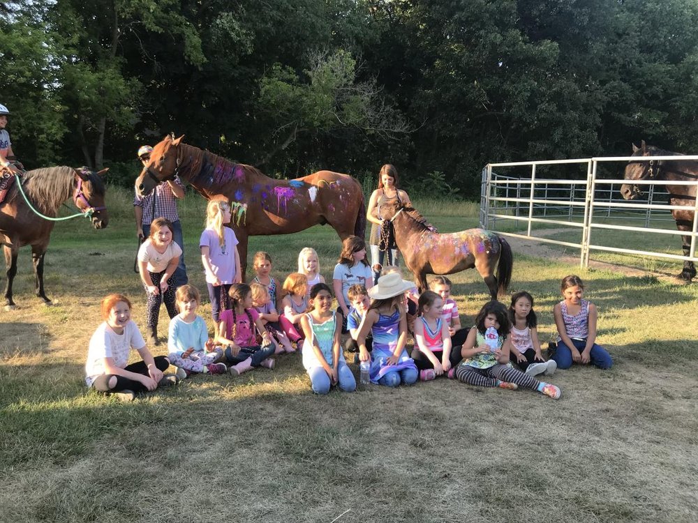 Grand Maple Farm - equestrian in Milan, MI