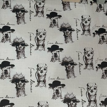 Llamas’ Corner - Themed Cafes Near Me - Baltimore, Maryland