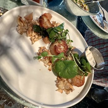 ilili DC - Scallops (4 stars) - Lebanese Near Me - Washington, DC, District of Columbia ilili DC - Scallops (4 stars) - Lebanese Near Me - Washington, DC, District of Columbia