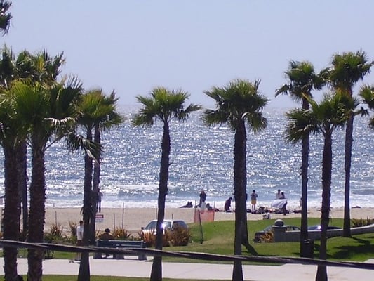 Samesun Venice Beach by null