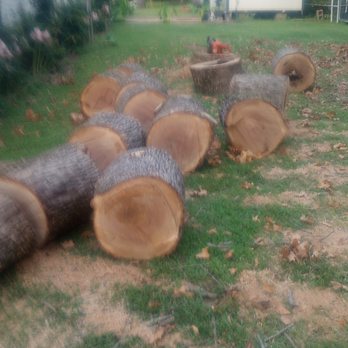 Jackson's Tree Service - Job done over a house post oak cut into firewood for customer - Tree Services Near Me - Seminole, Oklahoma Jackson's Tree Service - Job done over a house post oak cut into firewood for customer - Tree Services Near Me - Seminole, Oklahoma