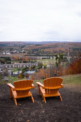 SkyBridge Michigan by null