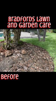 Best Plant And Tree Stores in Lakeland Florida: Top Picks Revealed 4 Best Plant And Tree Stores in Lakeland Florida: Top Picks Revealed