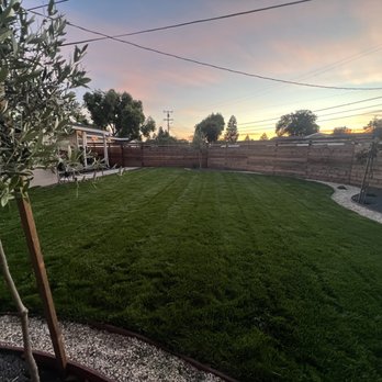 Golden Edge Lawn Service - Finished (after first cut of grass) - Lawn Services Near Me Golden Edge Lawn Service - Finished (after first cut of grass) - Lawn Services Near Me