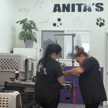 Anita’s Pets Grooming - Pet Groomers Near Me - Winnetka, California Anita’s Pets Grooming - Pet Groomers Near Me - Winnetka, California