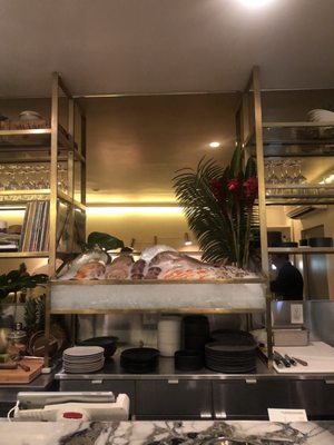 Ceviche Project by null Ceviche Project by null