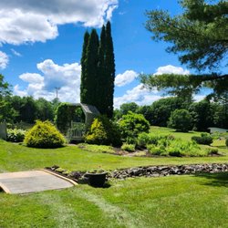 Green Squirrel Landscaping