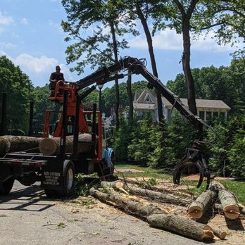 Dave Tree Service - Tree Services Near Me - Pawtucket, Rhode Island Dave Tree Service - Tree Services Near Me - Pawtucket, Rhode Island