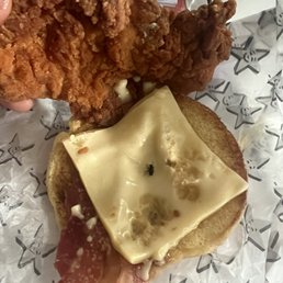 Bacon Swiss chicken sandwich uncooked bacon and a FLY between chicken and cheese