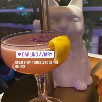 Darling Aviary - Terrible food and drinks - Bars Near Me - Sacramento, California