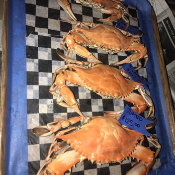 Captain James Crab House - Seafood Near Me - Baltimore, Maryland