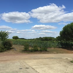 Domaine de la Bergerie- Yves Guegniard - Vue sur les vignes