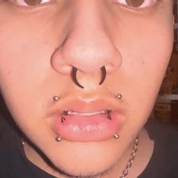 American Ink Tattoo Studio - angel bites, snake bites, septum, bridge - Tattoo Near Me - Sherman Oaks, California