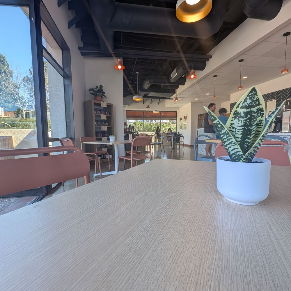 Achilles Coffee Roasters - Coffee & Tea Near Me - San Diego, California Achilles Coffee Roasters - Coffee & Tea Near Me - San Diego, California