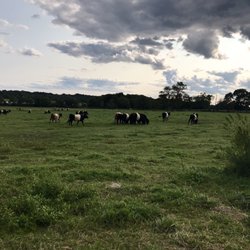 Windmist Farm