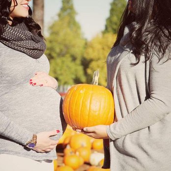 Boa Vista Orchards - Maternity photos at the Boa pumpkin patch! - Fruits & Veggies Near Me - Placerville, California Boa Vista Orchards - Maternity photos at the Boa pumpkin patch! - Fruits & Veggies Near Me - Placerville, California