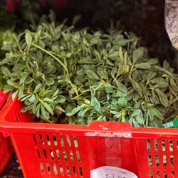 Fenugreek.