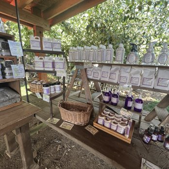Wayward Winds Lavender Farm - Little market area - Attraction Farms Near Me - Newberg, Oregon Wayward Winds Lavender Farm - Little market area - Attraction Farms Near Me - Newberg, Oregon