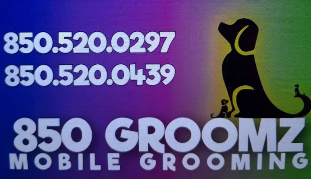 850 Groomz Image