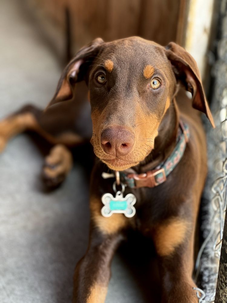 CENTINELA FEED & PET SUPPLIES 81 Photos & 95 Reviews 218 W